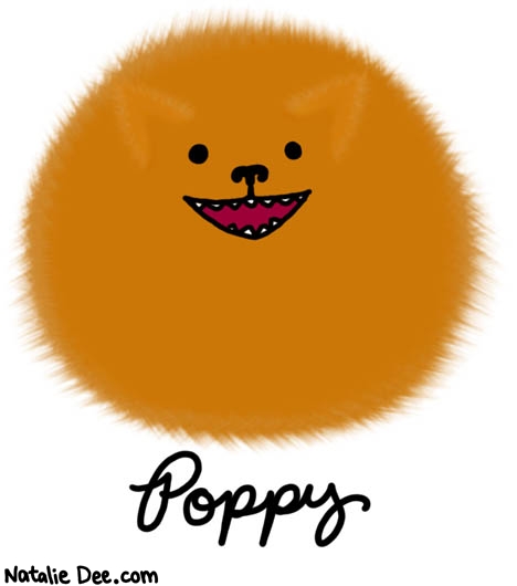 Natalie Dee comic: poppy the fluffy dog * Text: poppy