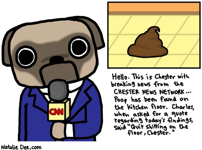 Natalie Dee comic: CNN * Text: 

Hello. This is Chester with breaking news from the CHESTER NEWS NETWORK...Poop has been found on the kitchen floor. Charles, whcn asked for a quote regarding today's findings, said 