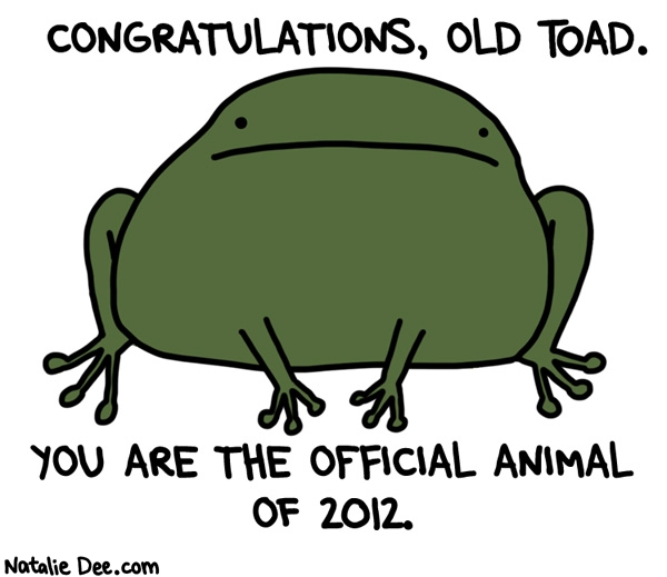 Natalie Dee comic: THIS YEAR IS YOUR YEAR TOAD * Text: congratulations old toad you are the official animal of 2012