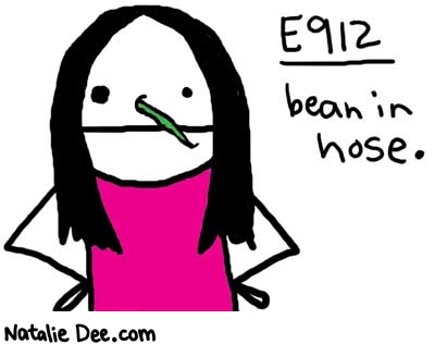 Natalie Dee comic: 912 * Text: 

E912


bean in nose.



