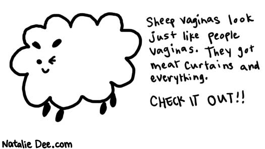 Natalie Dee comic: funfact * Text: 

Sheep vaginas look just like people vaginas. They got meat curtains and everything. CHECK IT OUT!!



