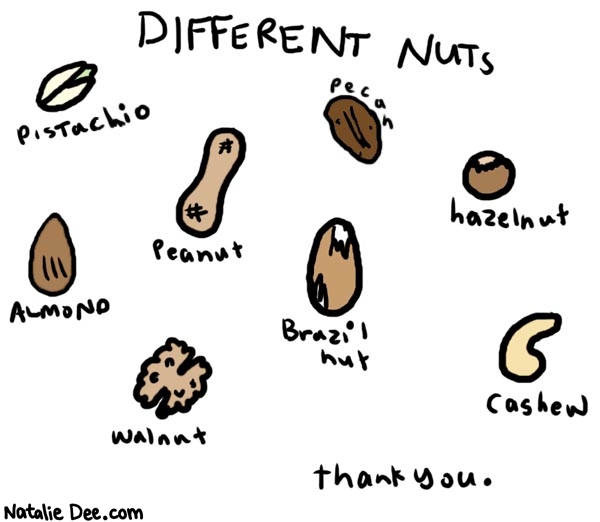 Natalie Dee comic: n is for nutz * Text: 

DIFFERENT NUTS



Pistachio


Peanut


Pecan


Hazelnut


Almond


Brazil nut


Walnut


Cashew


thank you.



