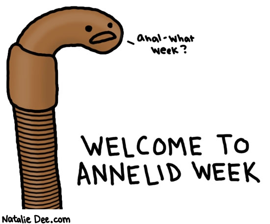 Natalie Dee comic: annelid week * Text: anal what week welcome to annelid week