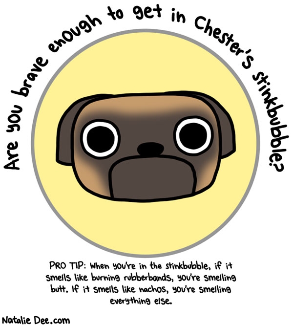 Natalie Dee comic: that dog fucking stinks * Text: are you brave enough to get in chesters stinkbubble pro tip when youre in the stinkbubble if it smells like burning rubberbands youre smelling butt if it smells like nachos youre smelling everything else
