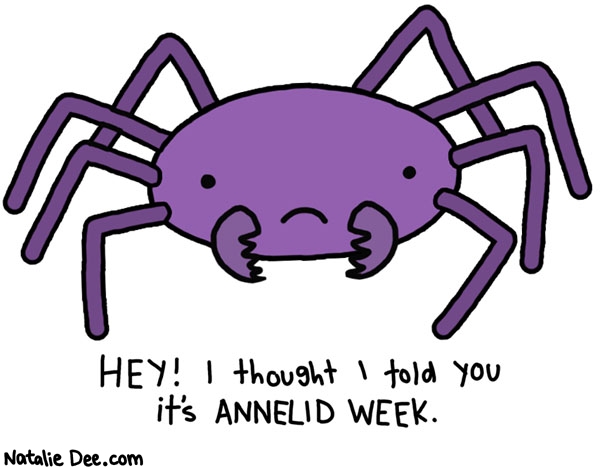 Natalie Dee comic: get out of here spider * Text: hey i thought i told you it was annelid week