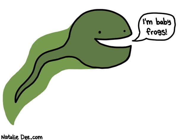 Natalie Dee comic: were all baby frogs * Text: 