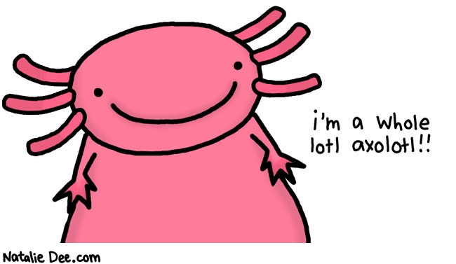 Natalie Dee comic: whole lotl axolotl * Text: im a whole lotl axolotl