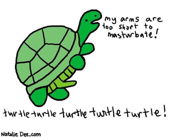 Natalie Dee comic: turtleturtle * Text: 

my arms are too short to masturbate!


turtle turtle turtle turtle turtle !




