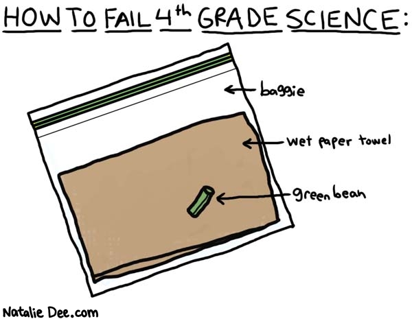 Natalie Dee comic: whoops * Text: 
HOW TO FAIL 4th GRADE SCIENCE:


baggie



wet paper towel


green bean



