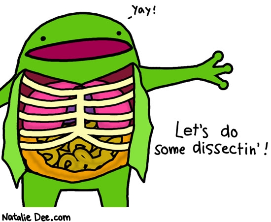 Natalie Dee comic: this frog just loves science * Text: yay lets do some dissectin