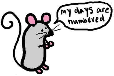 Natalie Dee comic: mydaysarenumbered * Text: 

my days are numbered



