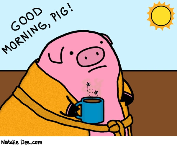 Natalie Dee comic: steaming mug of pigmud * Text: good morning pig