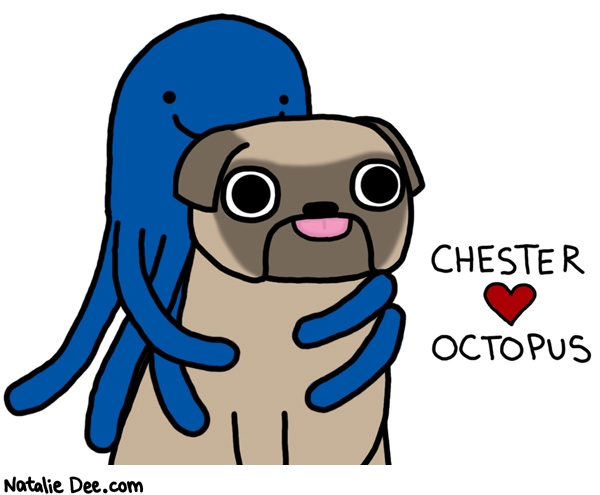 Natalie Dee comic: until octopus dies then chester loves new octopus * Text: 

CHESTER <HEART> OCTOPUS



