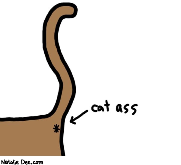 Natalie Dee comic: cat ass * Text: 

cat ass



