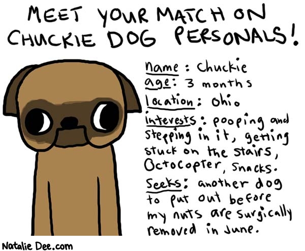 Natalie Dee comic: dogpersonals * Text: 

MEET YOUR MATCH ON CHUCKIE DOG PERSONALS!


name: Chuckie
age: 3 months
location: Ohio
interests: pooping and stepping in it, getting stuck on the stairs, Octocopter, snacks.
seeks: another dog to put out before my nuts are surgically removed in June.



