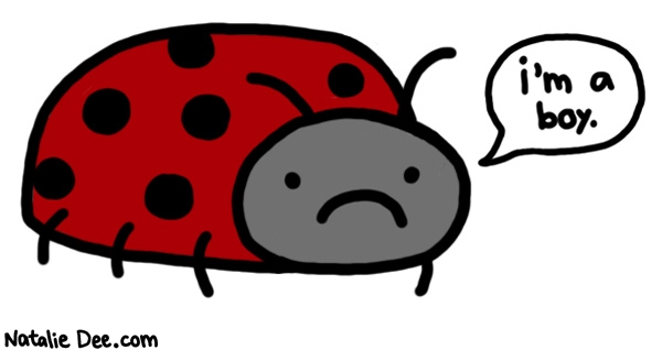 Natalie Dee comic: quit calling him ladybug guys * Text: im a boy
