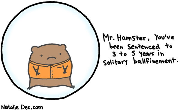 Natalie Dee comic: its sad cause those dudes only live for 2 years anyway * Text: mr hamster youve been sentenced to 3 to 5 years in solitary ballfinement