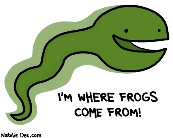 Natalie Dee comic: go be a frog little guy * Text: I'm where frogs come from!
