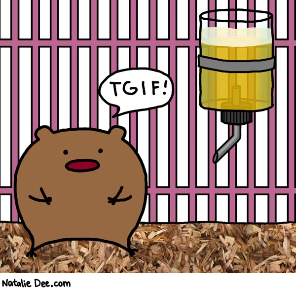 Natalie Dee comic: have fun hamster but dont drink and drive * Text: tgif