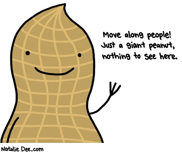 Natalie Dee comic: youve all seen giant peanut mind your own biz * Text: move along people just a giant peanut nothing to see here