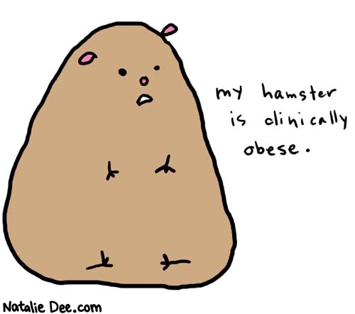 Natalie Dee comic: obese * Text: 

my hamster is clinically obese.



