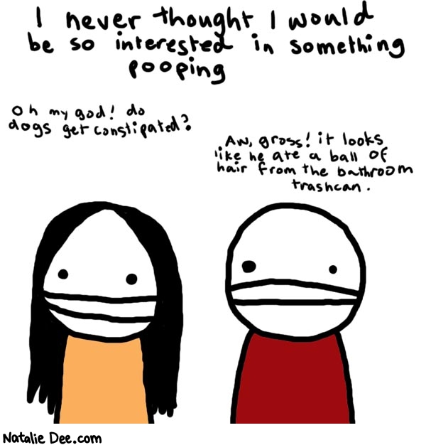Natalie Dee comic: interested in poop * Text: 

I never thought I would be so interested in something pooping


Oh my god! do dogs get constipated?


Aw, gross! it looks like he ate a ball of hair from the bathroom trashcan.



