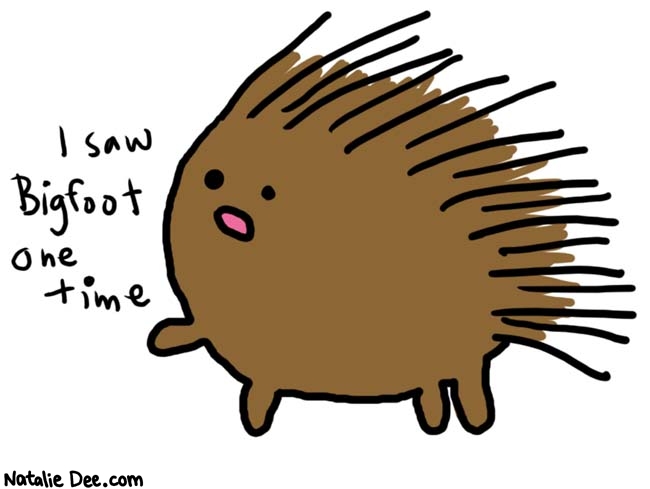 Natalie Dee comic: porcupine * Text: 

I saw Bigfoot one time



