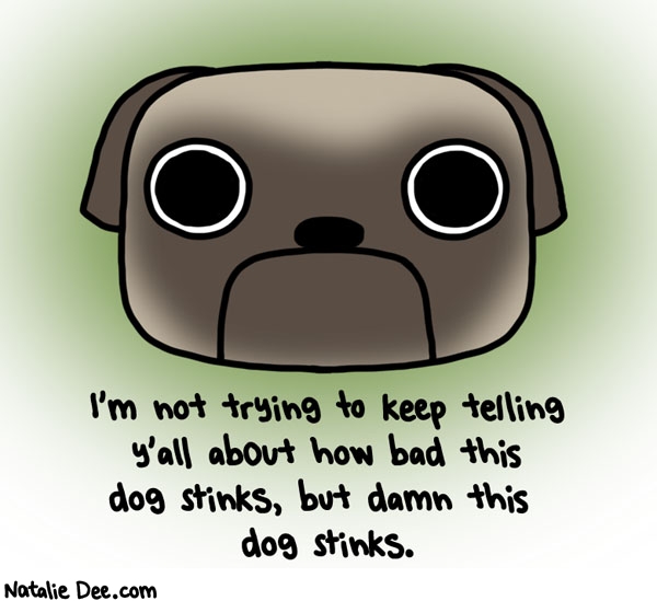 Natalie Dee comic: i constantly wash his dumb ass and he still stinks * Text: im not trying to keep telling yall about how bad this dog stinks but damn this dog stinks