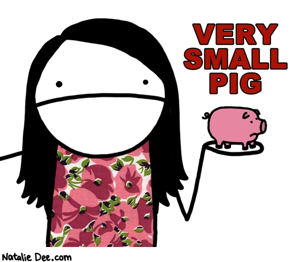 Natalie Dee comic: put that pig down before it shits in your hand * Text: very small pig