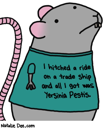 Natalie Dee comic: cough cough cough cough * Text: i hitched a ride on a trade ship and all i got was yersinia pestis