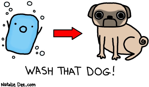 Natalie Dee comic: wash him * Text: 

WASH THAT DOG!



