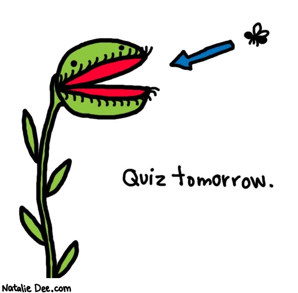 Natalie Dee comic: todays lesson is over the venus flytrap * Text: 

Quiz tomorrow.



