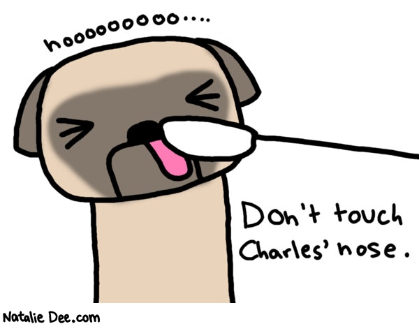 Natalie Dee comic: no matter how much you wanna * Text: 

nooooooooo...


Don't touch Charles' nose.



