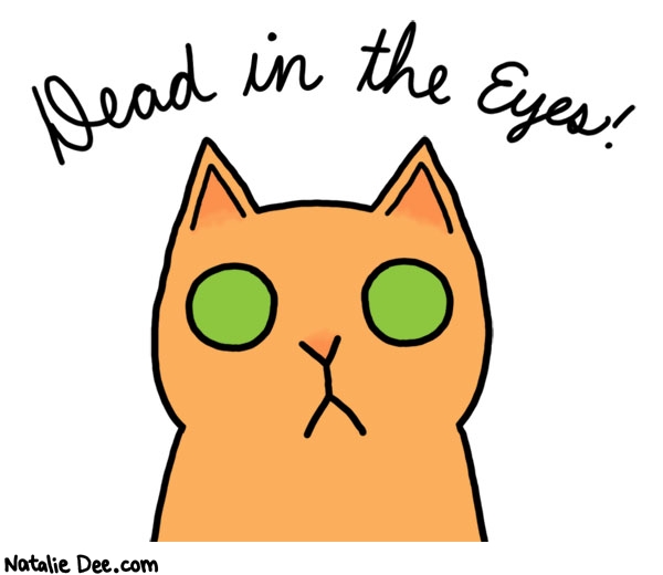 Natalie Dee comic: heys guys this is my cat lil deadintheeyes * Text: dead in the eyes