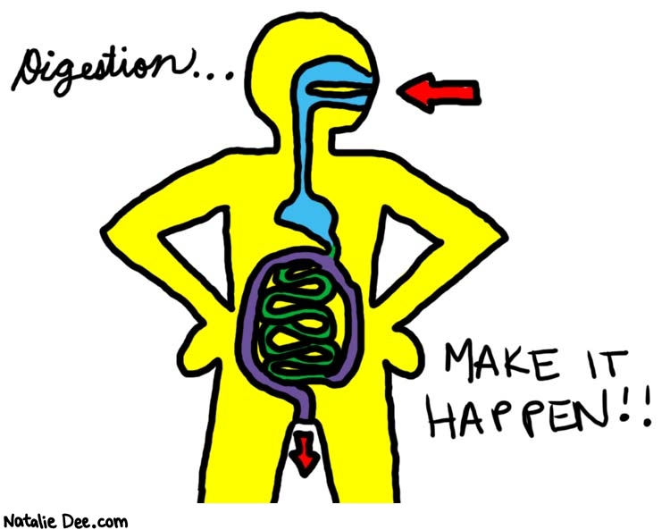 Natalie Dee comic: make it happen * Text: 

Digestion...


MAKE IT HAPPEN!!




