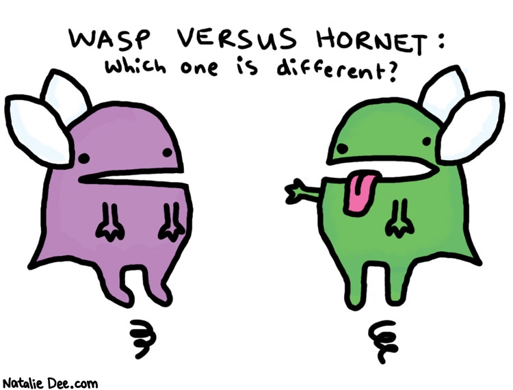Natalie Dee comic: wasp vs hornet * Text: 

WASP VERSUS HORNET:
which one is different?



