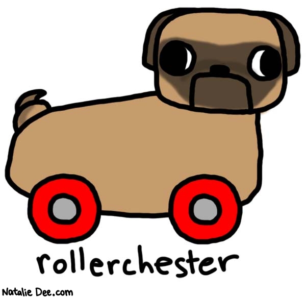 Natalie Dee comic: rollerchester * Text: 
rollerchester



