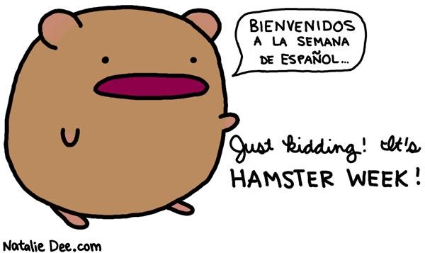Natalie Dee comic: welcome to hamster week * Text: bienvenidos a la semana de espanol just kidding its hamster week