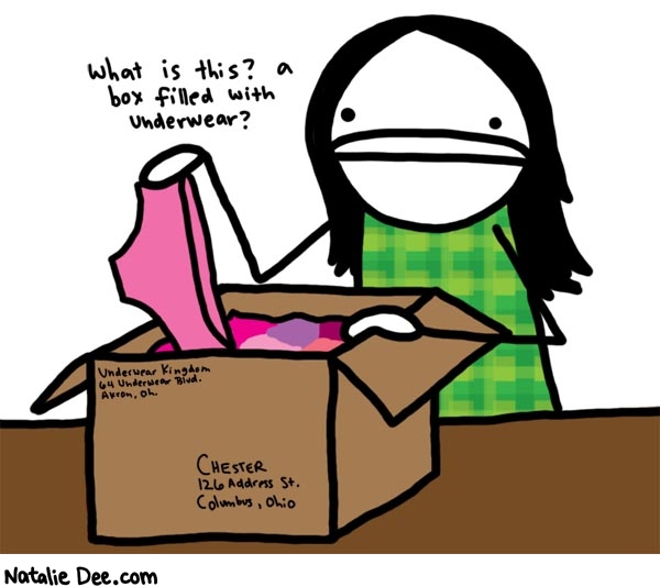 Natalie Dee comic: oh shit chester figured out how to use amazon * Text: 
What is this? a box filled with underwear?


Underwear Kingdom
64 Underwear Blvd.
Akron, Oh.


CHESTER
126 Address St.
Columbus, Ohio



