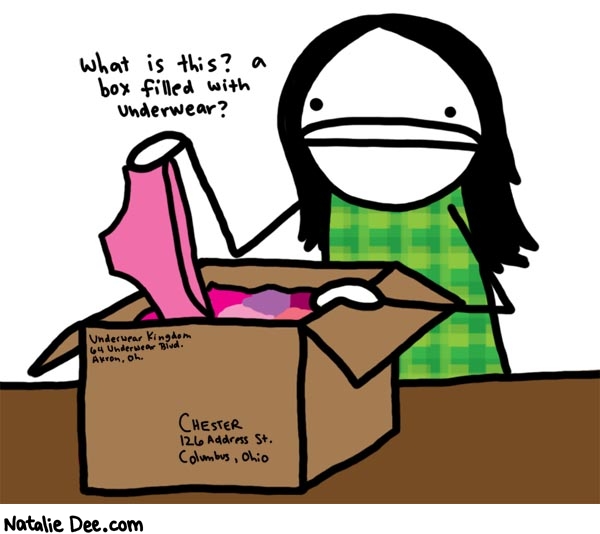 Natalie Dee comic: oh shit chester figured out how to use amazon * Text: 
What is this? a box filled with underwear?


Underwear Kingdom
64 Underwear Blvd.
Akron, Oh.


CHESTER
126 Address St.
Columbus, Ohio



