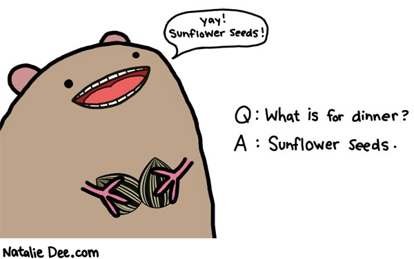 Natalie Dee comic: hamsters fucking love sunflower seeds * Text: yay sunflower seeds q what is for dinner a sunflower seeds