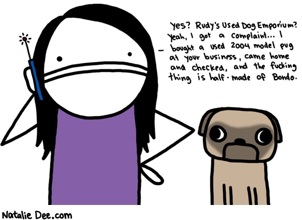 Natalie Dee comic: i did the magnet test * Text: 

yes? Rudy's Used Dog Emporium? Yeah, I got a complaint... I bought a used 2004 model pug at your business, came home and checked, and the fucking thing is half-made of Bondo.



