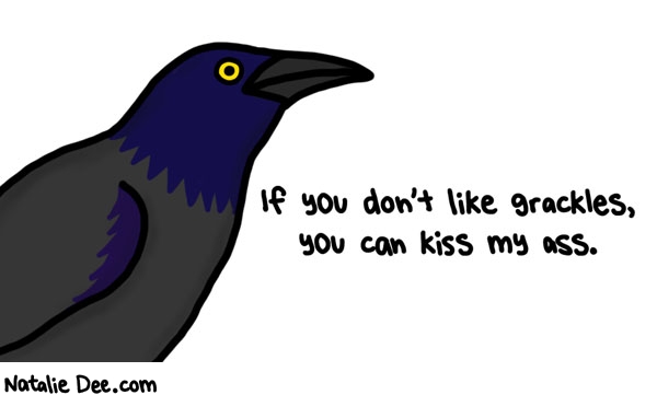 Natalie Dee comic: i thought i would look up my fave bird and it seems everyone hates em * Text: if you dont like grackles you can kiss my ass