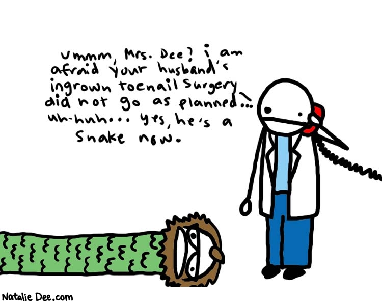 Natalie Dee comic: married to snakes * Text: 
Ummm, Mrs. Dee? I am afraid your husband's ingrown toenail surgery did not go as planned... uh-huh... Yes, he's a snake now.



