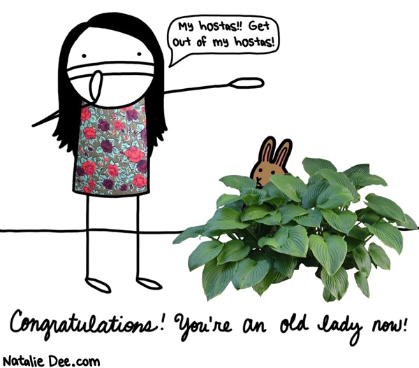 Natalie Dee comic: no not the hostas anything but the hostas * Text: my hostas get out of my hostas congratulations youre an old lady now