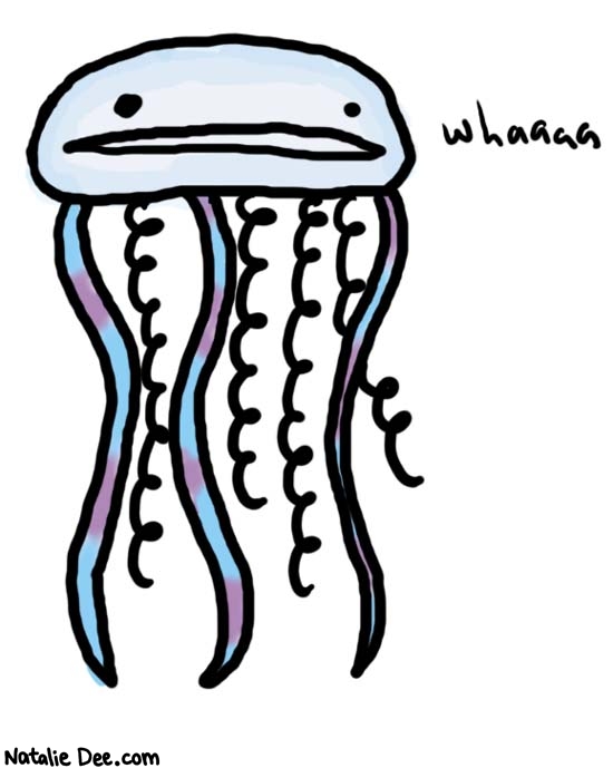 Natalie Dee comic: jellofish * Text: 
whaaaa




