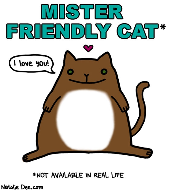 Natalie Dee comic: CW its a robot or a chinchilla or something * Text: mister friendly cat i love you not available in real life