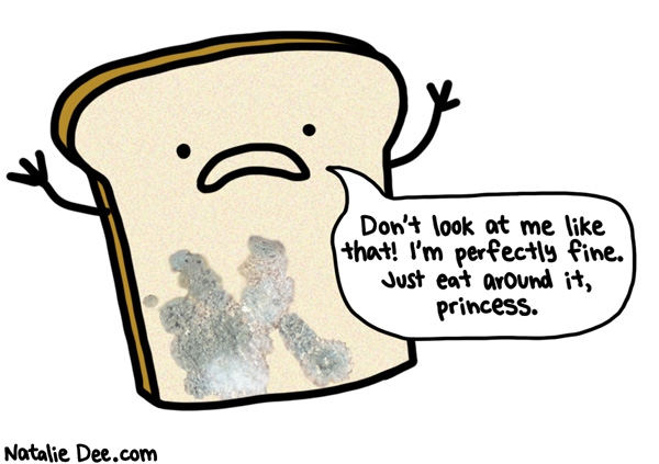 Natalie Dee comic: what do you think youre too good to eat mold * Text: dont look at me like that im perfectly fine just eat around it princess