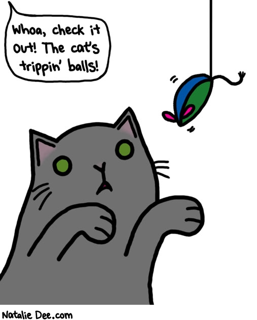 Natalie Dee comic: CW the cat needs an intervention * Text: whoa check it out the cats tripping balls
