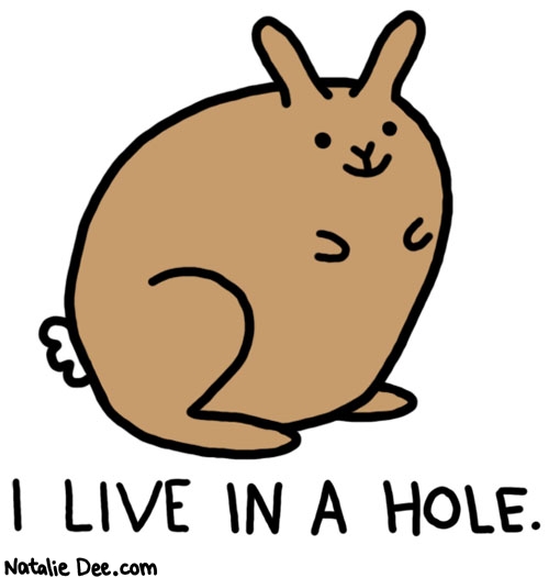 Natalie Dee comic: just so its not my hole i dont care where you live * Text: i live in a hole
